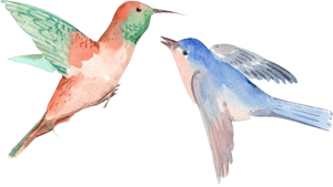 bird-sm