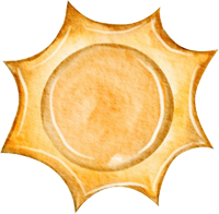 sun