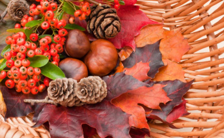 Nature Based Curriculum Using Loose Parts