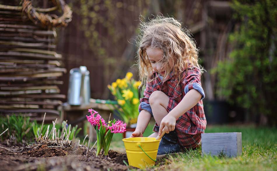 Transform Your Backyard into a Teaching Garden