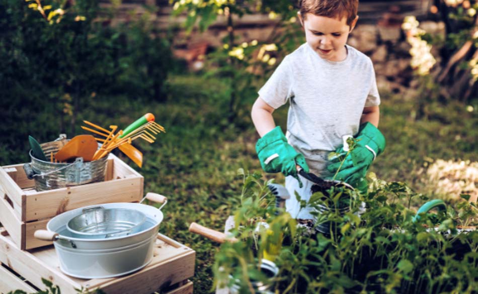 Reggio Inspired Outdoor Environments That Teach