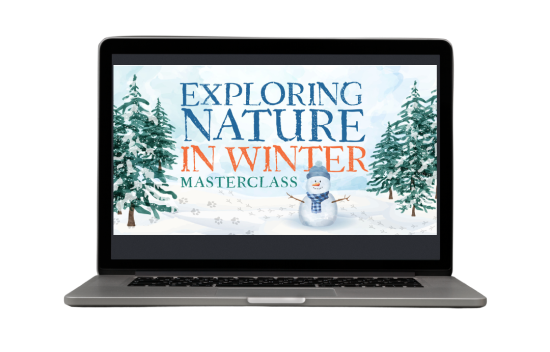 winter-laptop