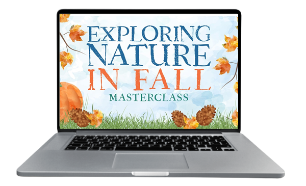 fall_laptop