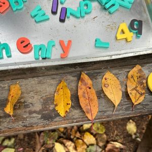 Observation, Documentation & Assessment in Outdoor Learning