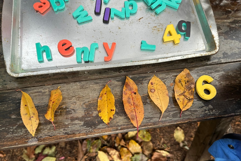 Observation, Documentation & Assessment in Outdoor Learning