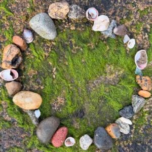 Outdoor Classroom CIRCLE Gathering